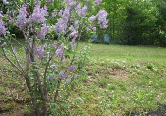 Tumble Inn Schroon Lake Exterior foto